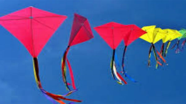 Why do people fly kites during Makar Sankranti festivities?