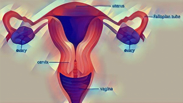 Endometrial cancer Endometrial cancer