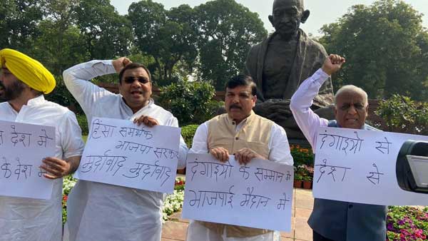 TMC, AAP MPs hold protest inside the Parliament premises against govt over Delhi violence 