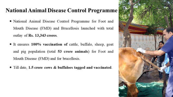 Animal disease control
