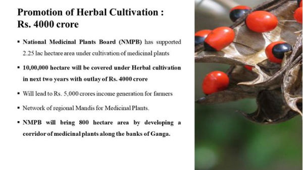 Herbal cultivation
