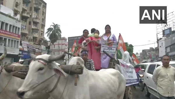 Congress leaders ride a bullock cart in Patna