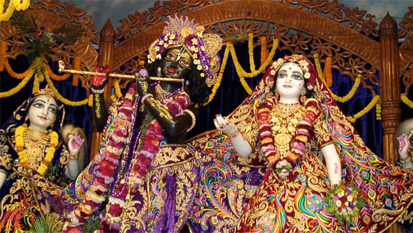 How do people celebrate on this occasion? How do people celebrate on this occasion?