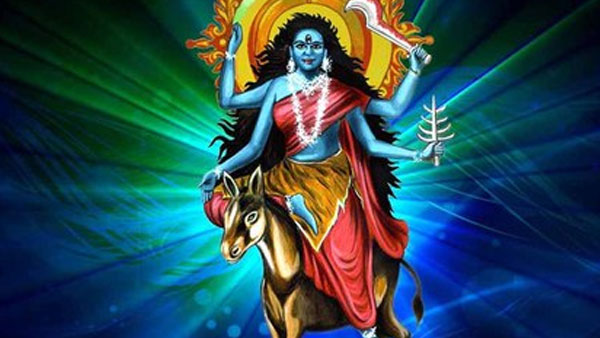 Day 7: October 23 - White