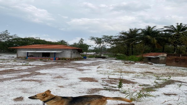 Spell of rain brings down temperature in silicon city