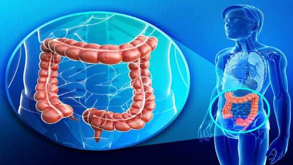 Drug for common inflammatory bowel disease may blunt COVID-19 vaccine response: Study Drug for common inflammatory bowel disease may blunt COVID-19 vaccine response: Study