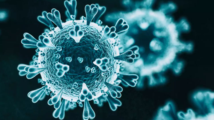 Indian Covid-19 variant found in 44 countries: WHO Indian Covid-19 variant found in 44 countries: WHO