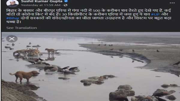 AAP leader falsely shares photos of dead bodies floating in Ganga as recent one AAP leader falsely shares photos of dead bodies floating in Ganga as recent one