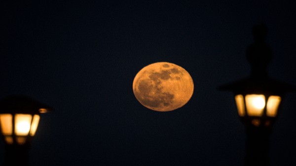 Super Blood Moon 2021: Check out stunning images of super-celestial event