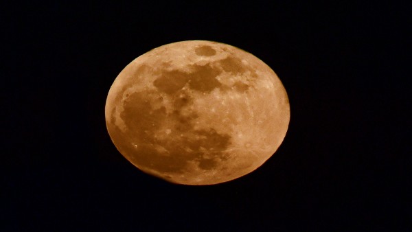 Super Blood Moon 2021: Check out stunning images of super-celestial event