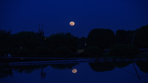Super Blood Moon 2021: Check out stunning images of super-celestial event