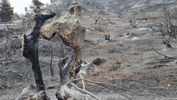 Abandoned to the flames on Evia