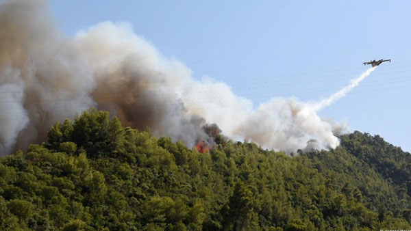 Greece faces worst heat wave in 30 years