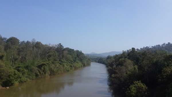 Wildlife conservation and its importance 