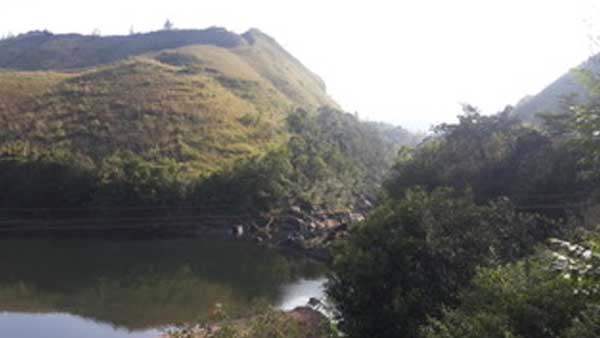 Wildlife conservation and its importance 