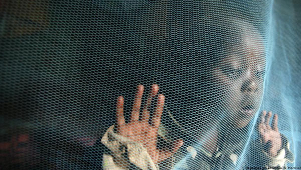 Attacking malaria parasites