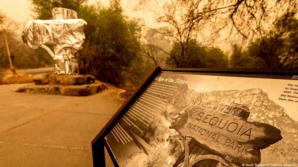 California wildfire threatens worlds largest tree