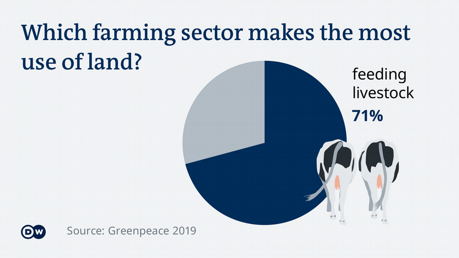 Provided by Deutsche Welle