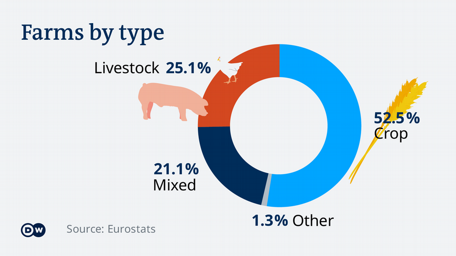 Provided by Deutsche Welle