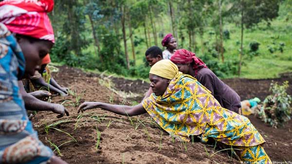 Pandemic, climate change, conflict fuel global hunger