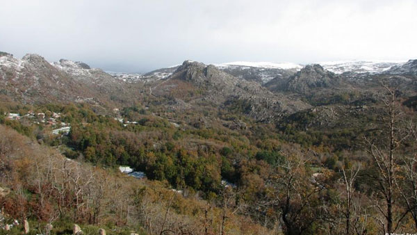 Passive rewilding: If you love it, set it free