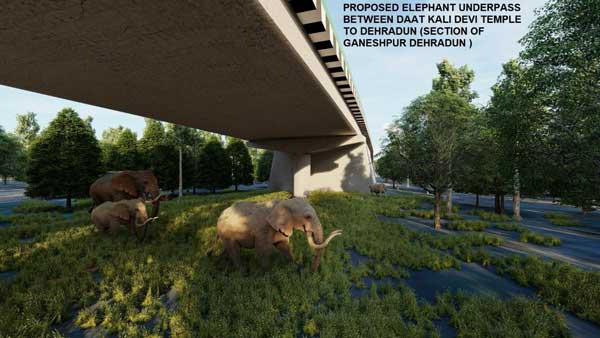 PM to lay foundation stone for projects worth Rs 18k crore in Dehradun