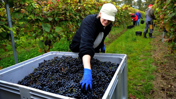 Polands tax revolution on the edge