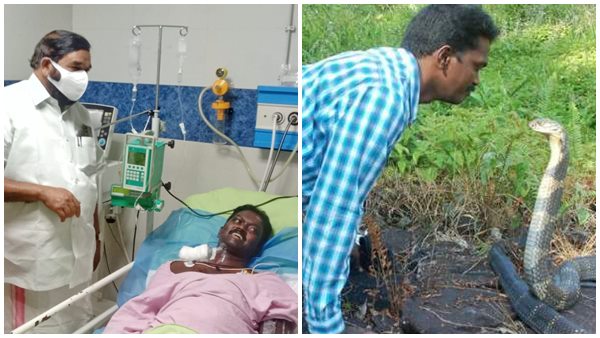 Popular snake-catcher Vava Suresh leaves hospital after being treated with 65 bottles of anti-venom Popular snake-catcher Vava Suresh leaves hospital after being treated with 65 bottles of anti-venom