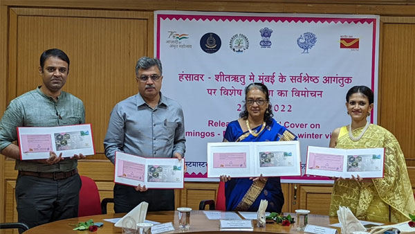 Mumbai’s winter visitors: Special postal cover on Flamingos released