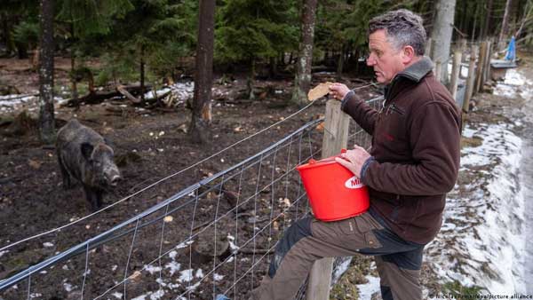 German wildlife park renames Putin the boar