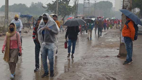 India will receive 103% rainfall of a long-term average this year, says IMD India will receive 103% rainfall of a long-term average this year, says IMD