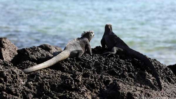 How to save the oceans