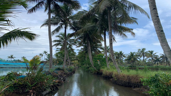 With a population of 9000, the island is now frequented only by travel enthusiasts who want a scenic photo in this part of the country to garner likes and popularity while the island sinks in oblivion.