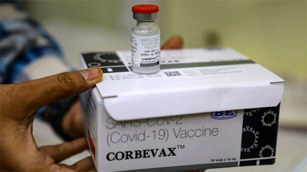 A health worker shows the Corbevax COVID-19 vaccine A health worker shows the Corbevax COVID-19 vaccine