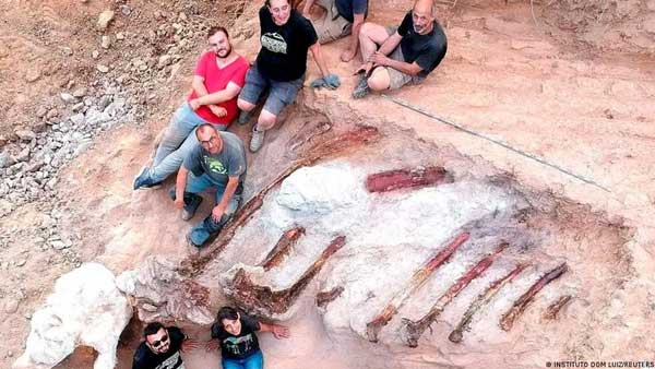 Portugal: Remains of large dinosaur skeleton unearthed Portugal: Remains of large dinosaur skeleton unearthed