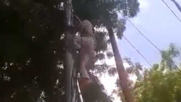 Power revenge: Fined 6k, electrician disconnects power supply to police station Power revenge: Fined 6k, electrician disconnects power supply to police station