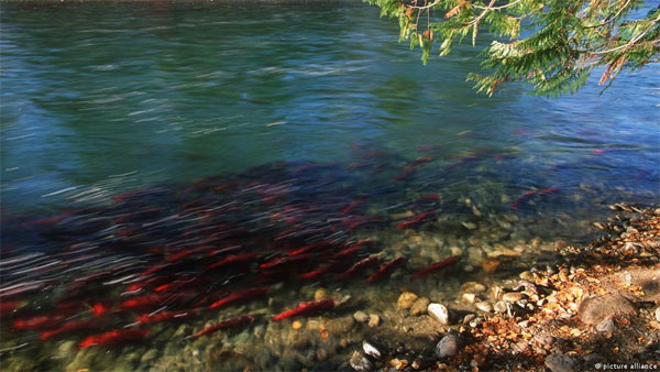 Can rivers and lakes recover from drought?