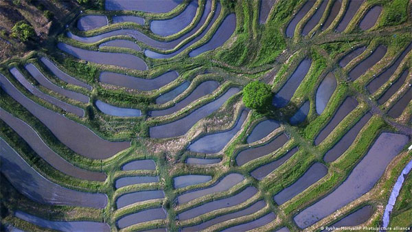 Climate-proofing the worlds soil