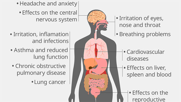Fossil fuel ban would save lives, say global health groups