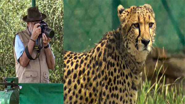 Prime Minister Narendra Modis commitment and enthusiasm for the wilderness is well known