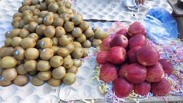 Why is there not much impact of the ban on single-use plastic