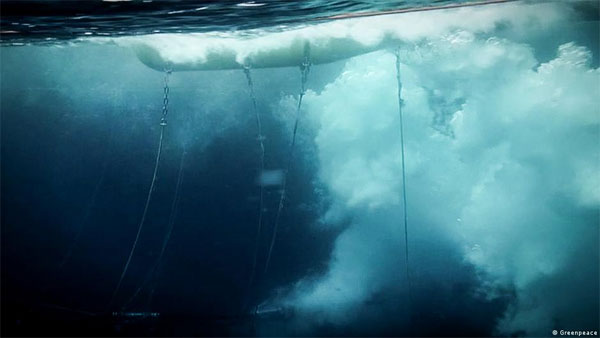 Noise pollution: Why the sea needs more peace