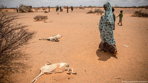 UN: Millions at risk of starvation in Somalia