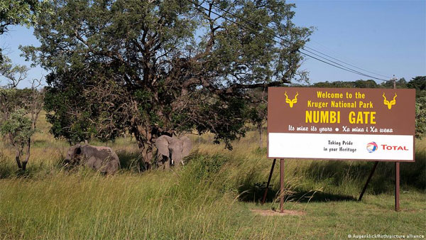 German tourist shot dead near Kruger National Park German tourist shot dead near Kruger National Park