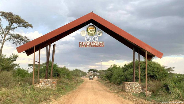 Tanzania: Maasai community lose land dispute