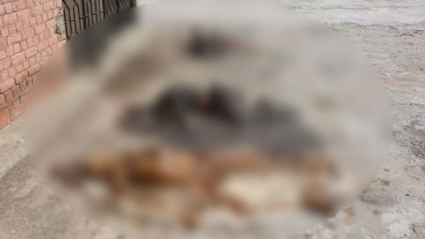 A great tragedy say activists after 200 bodies are recovered from roof of Pakistan hospital A great tragedy say activists after 200 bodies are recovered from roof of Pakistan hospital