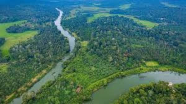 List of ‘Benefits from the Cauvery South Wildlife Sanctuary’