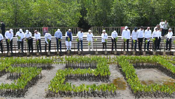 PM Modi, US President Biden exchange greetings at Mangrove forest visit in Bali PM Modi, US President Biden exchange greetings at Mangrove forest visit in Bali