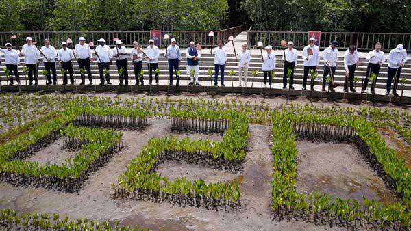 In pics: Together, PM Modi with other G20 leaders plant mangrove saplings in Bali