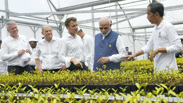 In pics: Together, PM Modi with other G20 leaders plant mangrove saplings in Bali